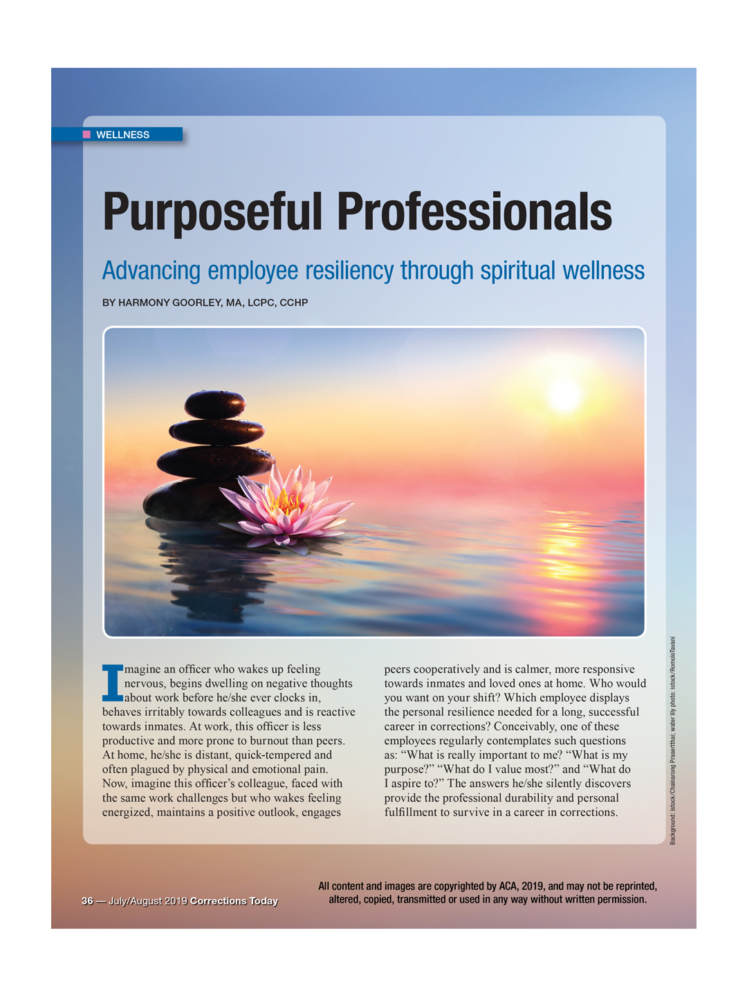 Purposeful Professionals